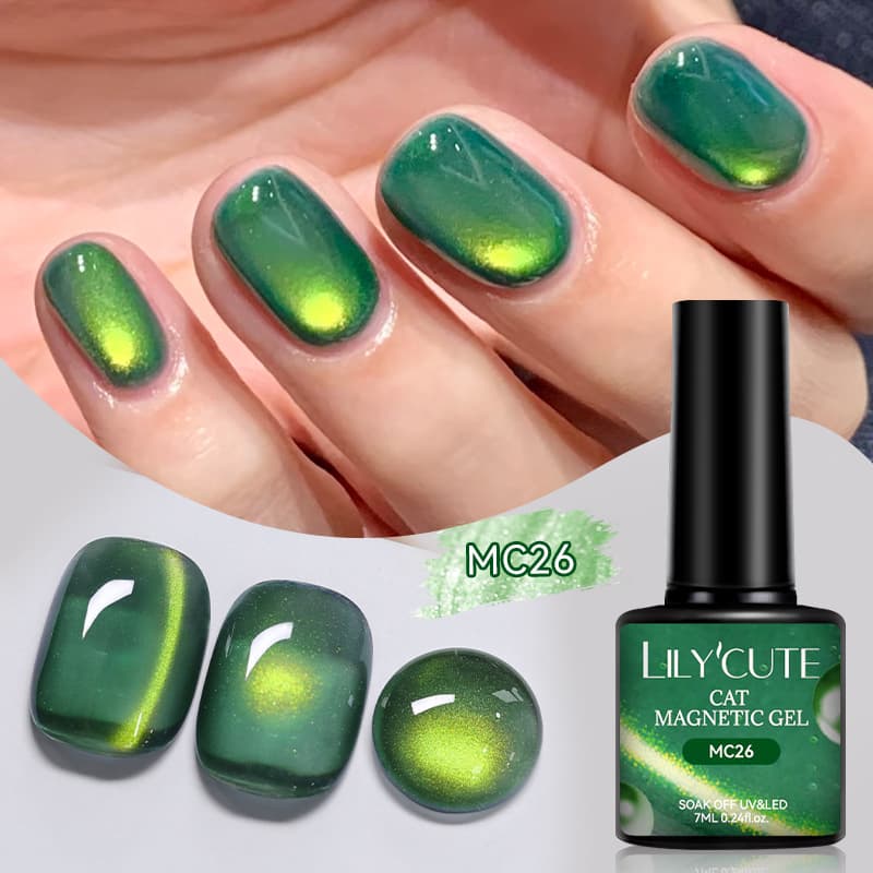 Vue 15